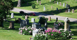 Carter Robert C and Associates Funeral Services